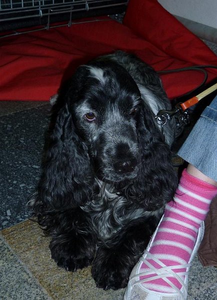 10Teta Nathali (Babetka).JPG